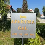 Apartment Gal