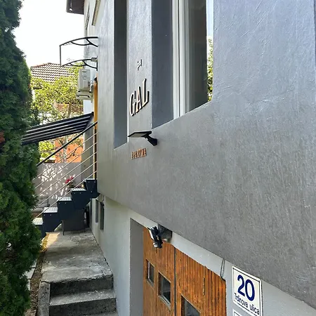 Gal Novo Mesto