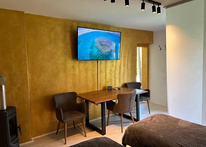 Gal نوفو ميستو