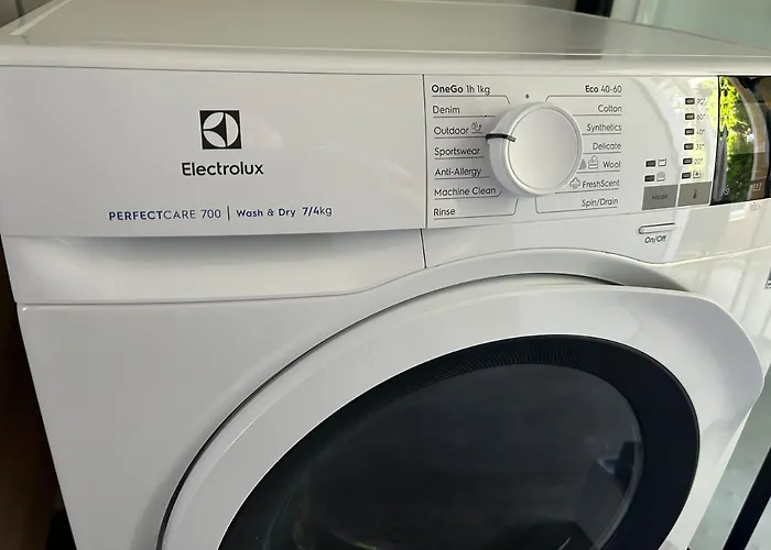 Gal * نوفو ميستو