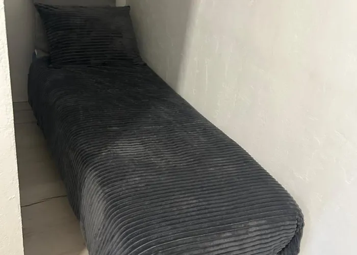 Gal * نوفو ميستو