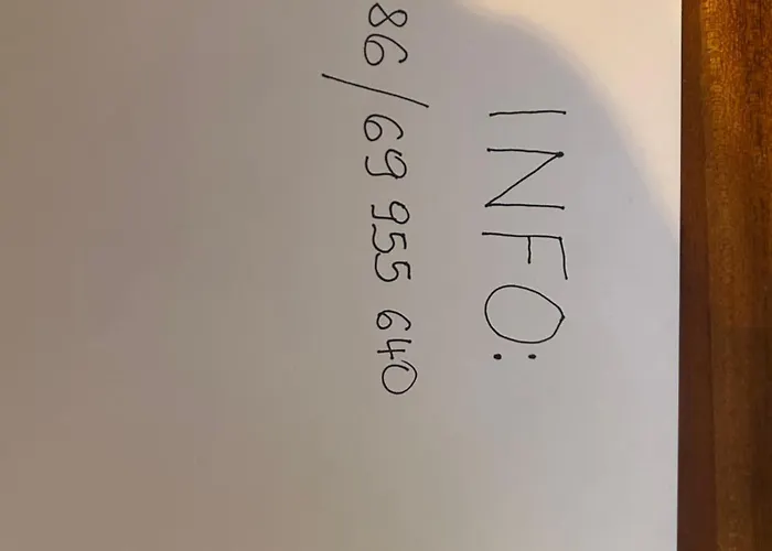 Gal نوفو ميستو